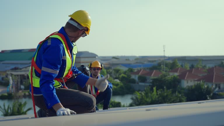 Best Cold Roofs  in Ogden, IA