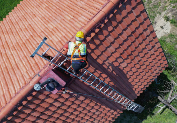 Best Commercial Roofing Services  in Ogden, IA